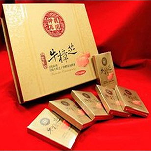 牛樟芝黃金膠囊